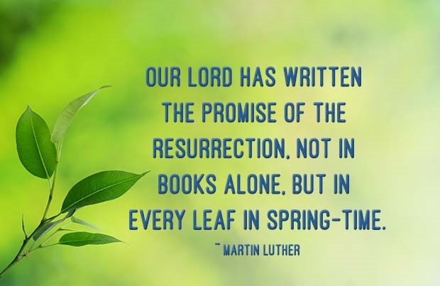 2023 Lutheran Church Calendar Calendar - St. Paul's Evangelical Lutheran Church, Chilliwack, Bc, Canada